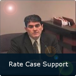 Rate Case Support